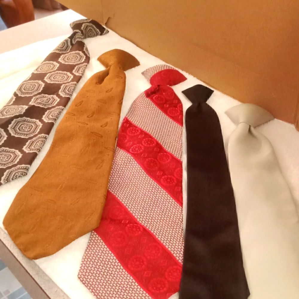 🩷Various bundle of 5 clip on mens ties. Closeout price on all